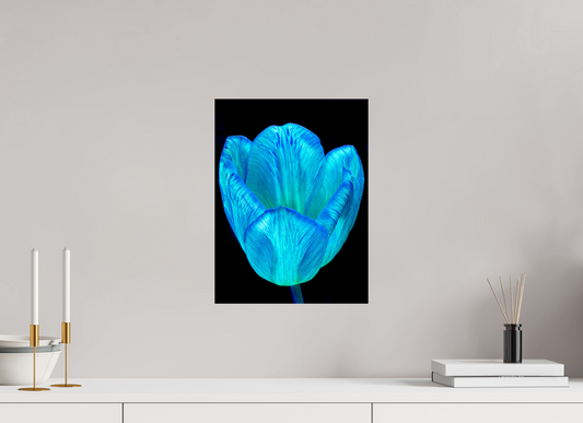 30 x 40 cm, 1 Single print on Fuji Crystal Pearl photo paper Chalice of light