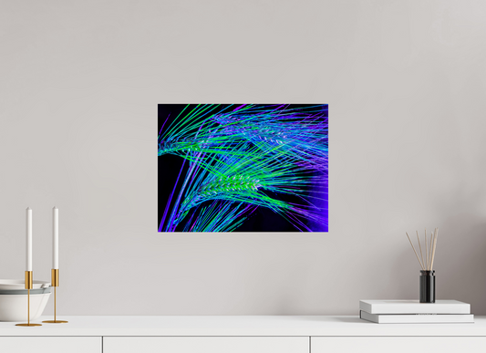 40 x 30 cm, 1 Single print on Fuji Crystal Pearl photo paper The Lines Where Light Runs