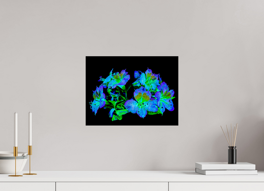 40 x 30 cm, 1 Single print on Fuji Crystal Pearl photo paper Floral Constellation