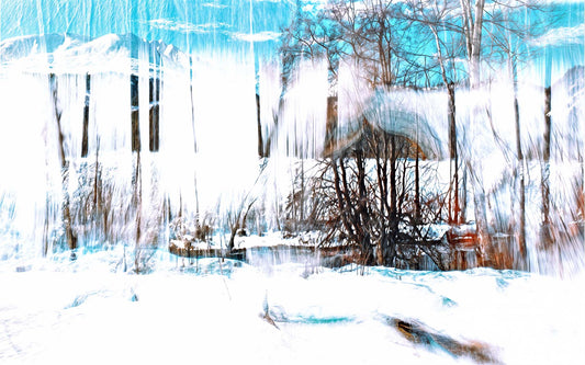 Main image LA The Forest Singing Snow