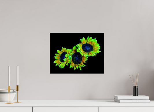 40 x 30 cm, 1 Single print on Fuji Crystal Pearl photo paper The guardians of the sleeping day