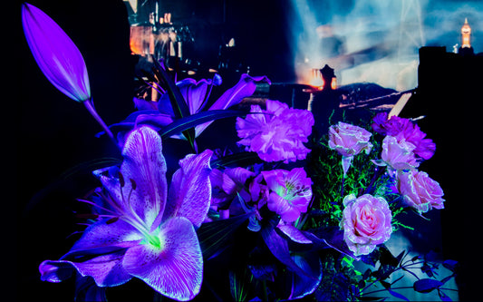 21st Century Bouquets