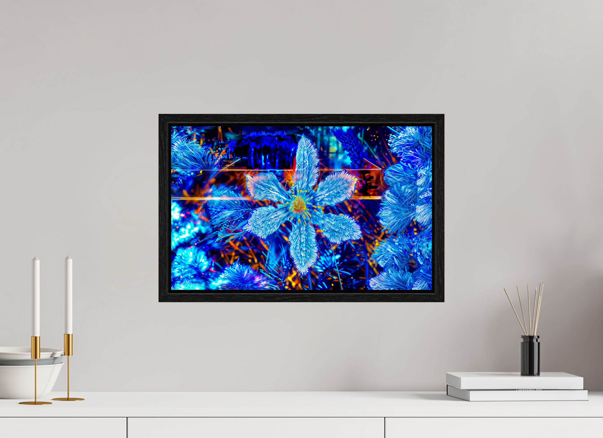 47.9 x 30 cm, 8 Black American box The flower that dreamed of stars