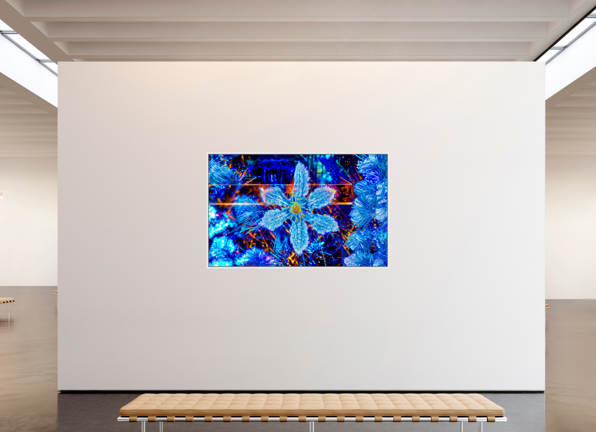 191.5 x 120 cm, 9 White American box The flower that dreamed of stars