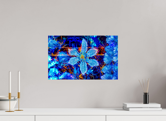 47.9 x 30 cm, 1 Single print on Fuji Crystal Pearl photo paper The flower that dreamed of stars