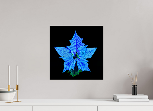 40 x 40 cm, 1 Tirage simple sur papier photo Fuji Crystal Pearl La Fleur Cosmique Qui Murmure Ton Nom