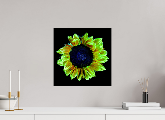 40 x 40 cm, 1 Tirage simple sur papier photo Fuji Crystal Pearl Couronne de lumière