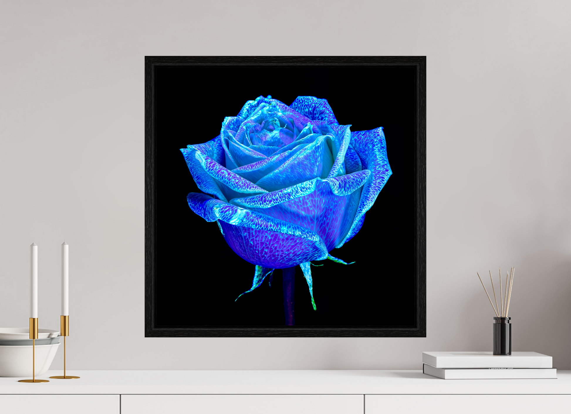 50 x 50 cm, 8 Black American Box The Rose That Dreamed of the Sky