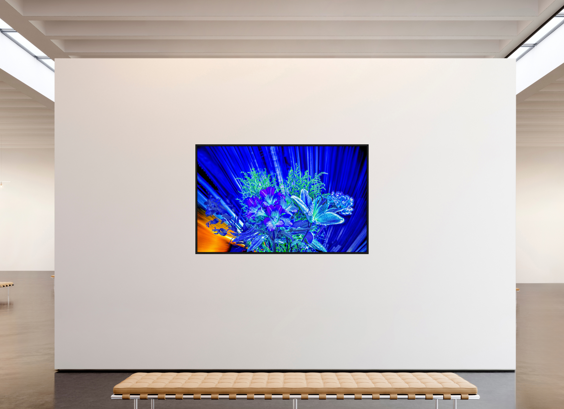 192 x 120 cm, 8 Caisse américaine Noire Floraisons dans le vent lumineux