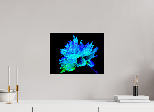 40 x 30 cm, 1 Tirage simple sur papier photo Fuji Crystal Pearl L’Éclat Bleu de la Pivoine Astrale