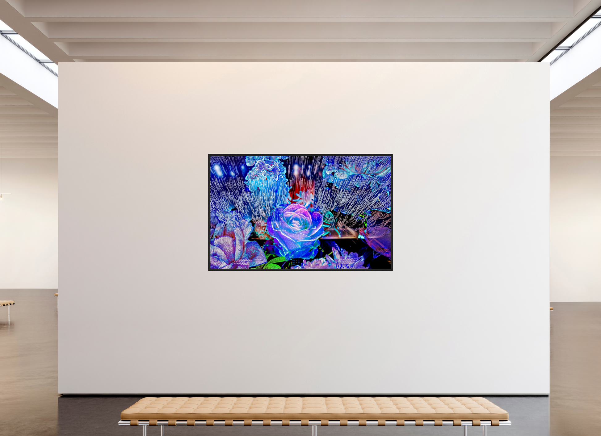 192 x 120 cm, 8 Black American Box When light remembers flowers