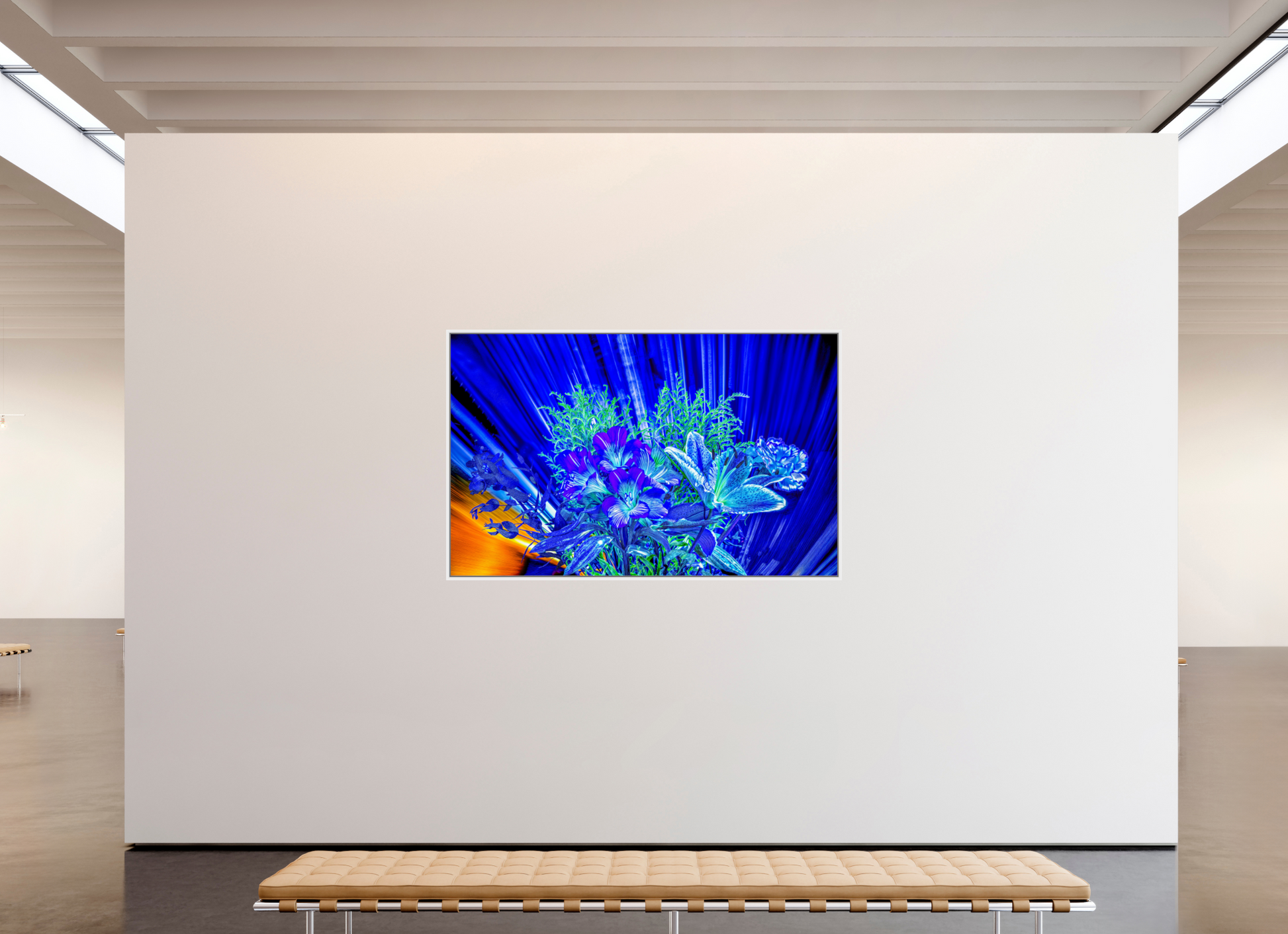 192 x 120 cm, 9 Caisse américaine Blanche Floraisons dans le vent lumineux