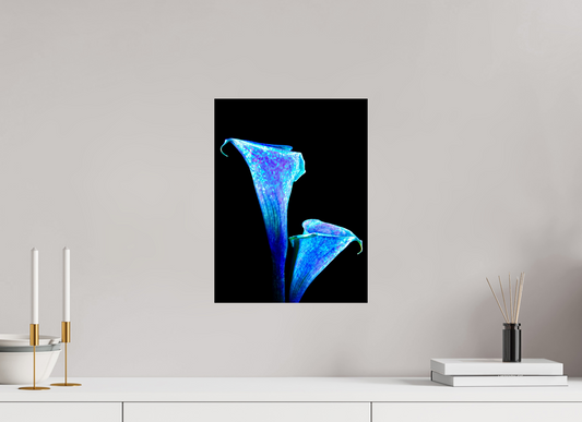 30 x 40 cm, 1 Tirage simple sur papier photo Fuji Crystal Pearl L’Étreinte des Lys Stellaires