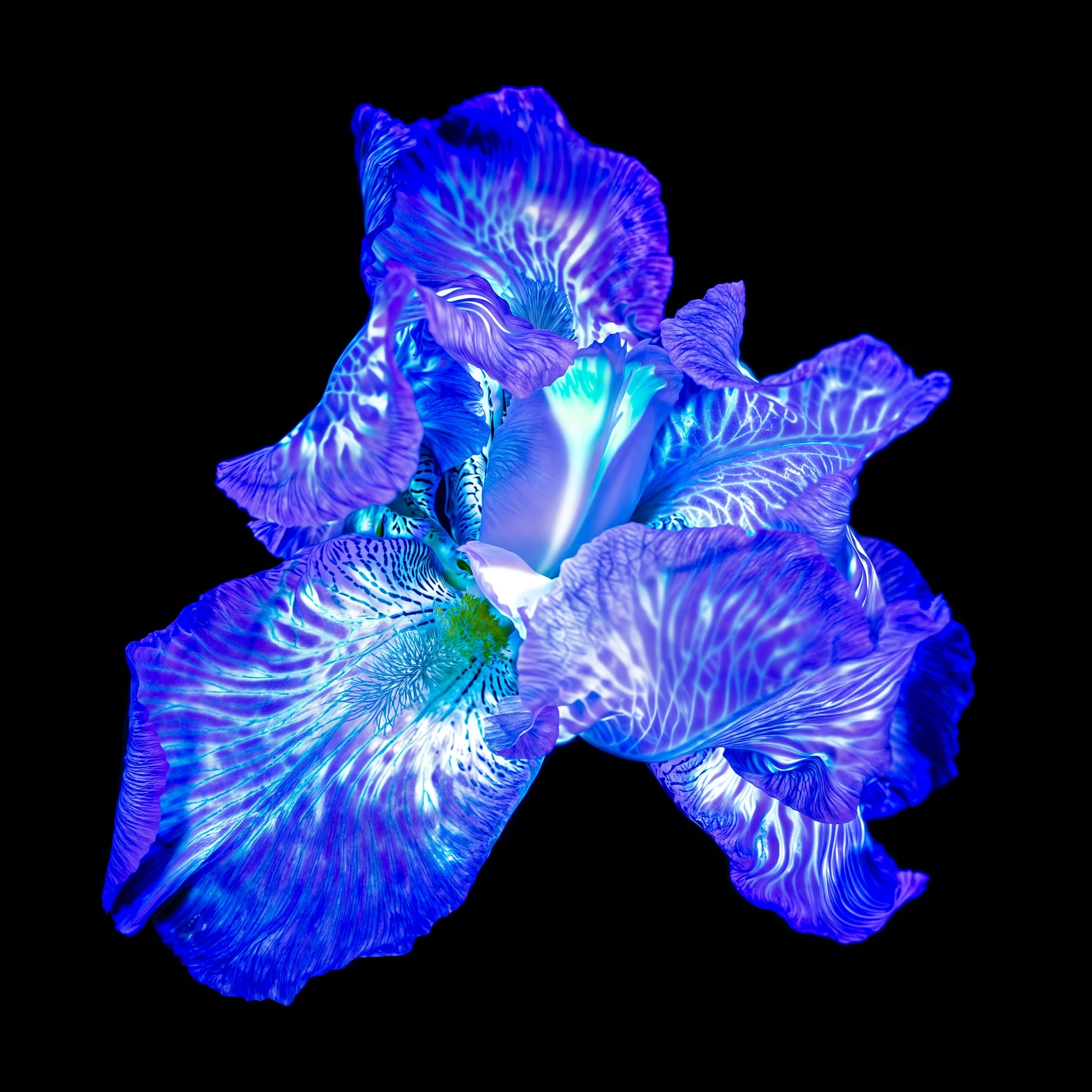 Main image The Opal of Shadows