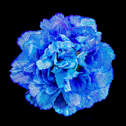 Main image Matrice de Lumière