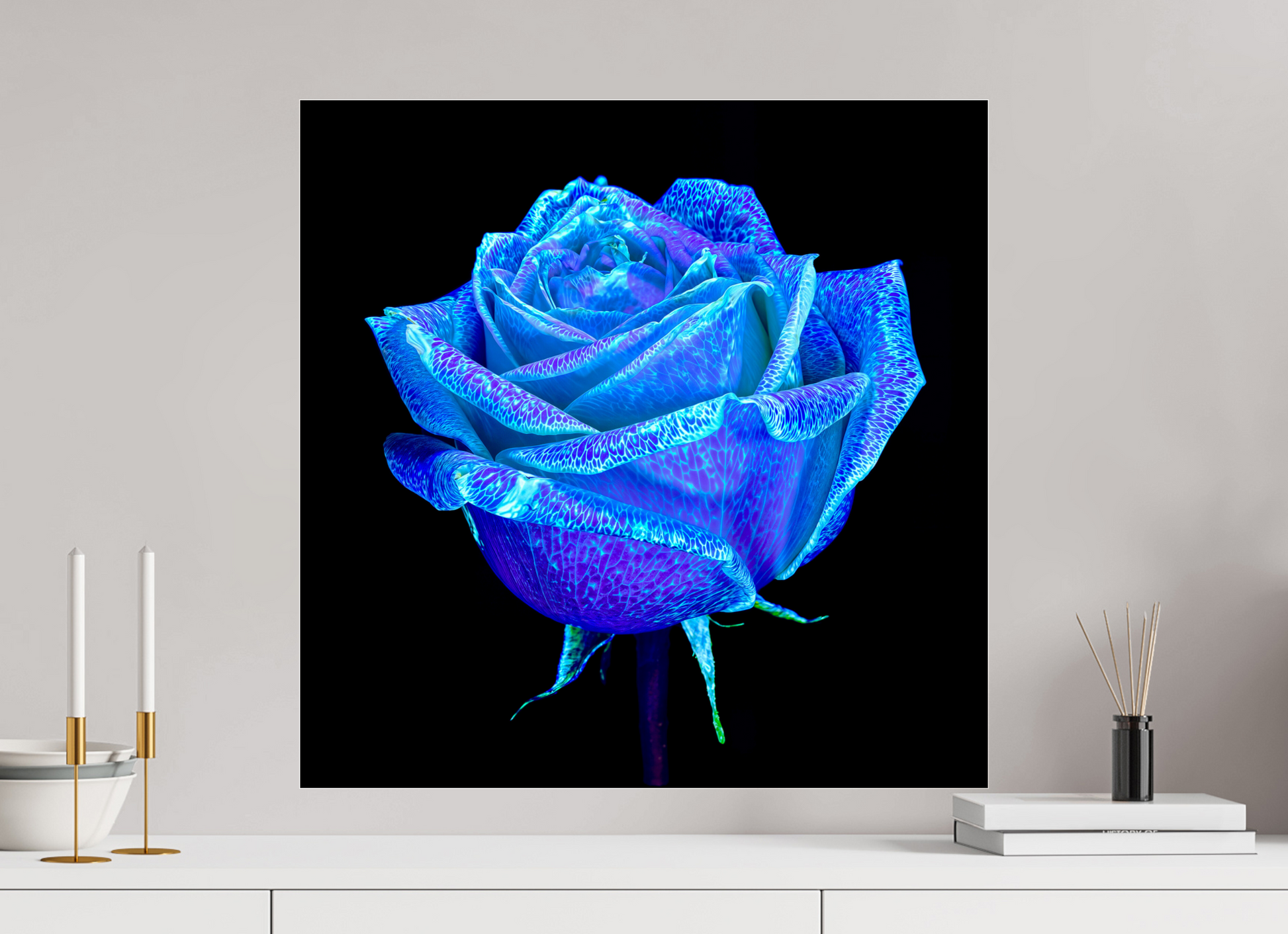 60 x 60 cm, 3 Photo print under acrylic glass The Rose That Dreamed of the Sky
