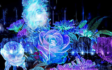 Main image La Rosée des Étoiles