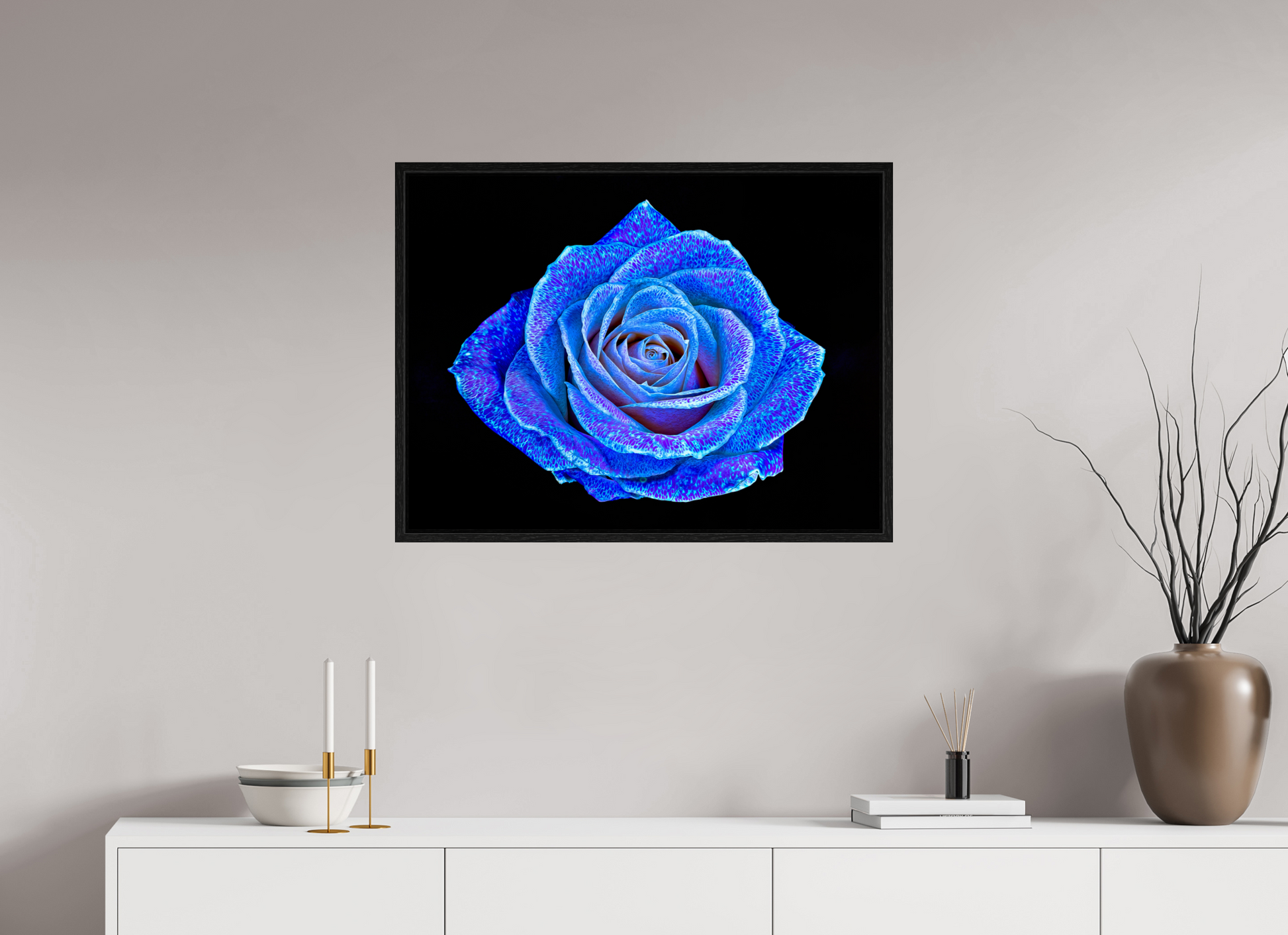 80 x 60 cm, 8 Black American Box The Rose with a Thousand Constellations