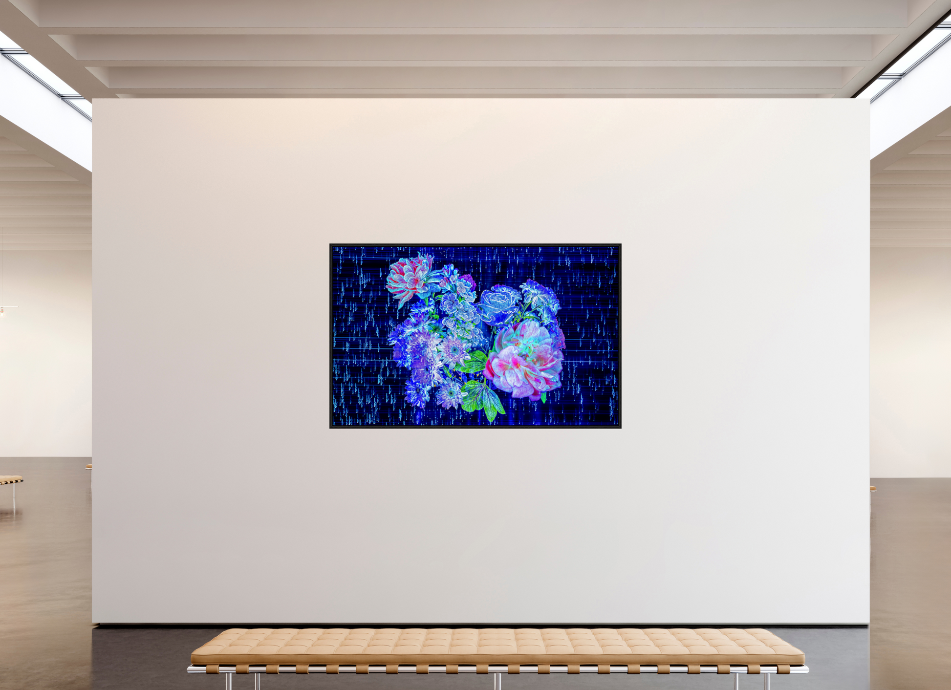 192 x 120 cm, 8 Black American Box Blooms at the heart of the stellar code