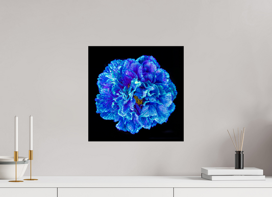 40 x 40 cm, 1 Tirage simple sur papier photo Fuji Crystal Pearl Le Cœur Bleu qui S’ouvre à la Nuit