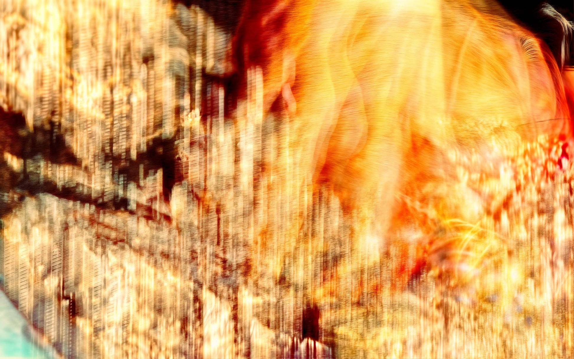 Main image The glowing heart of the world