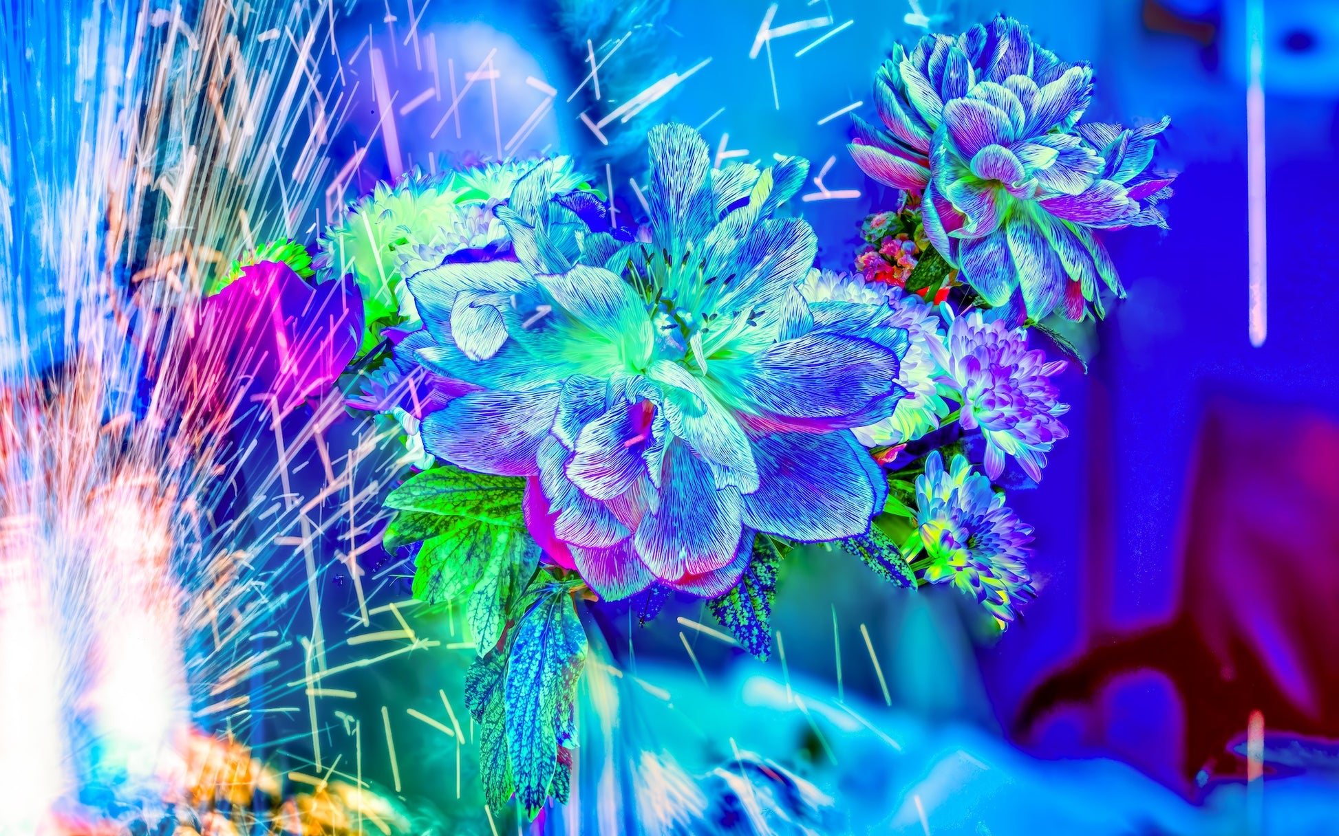 Main image Quand la lumière se brise en fleurs