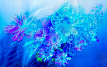 Main image Le Murmure des fleurs dans le Voile du Ciel