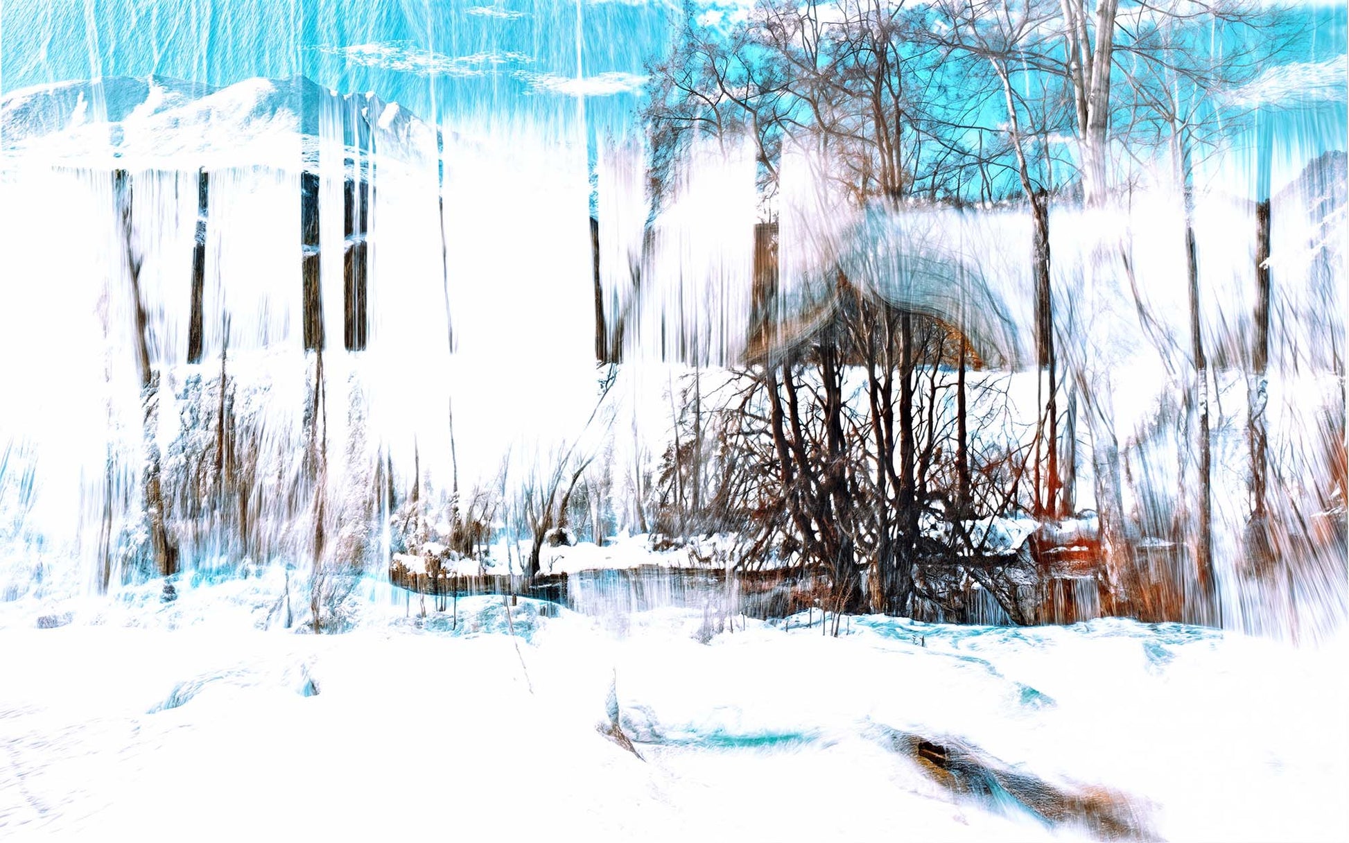 Main image LA The Forest Singing Snow