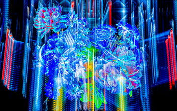 Main image Floraisons du monde cybernétique