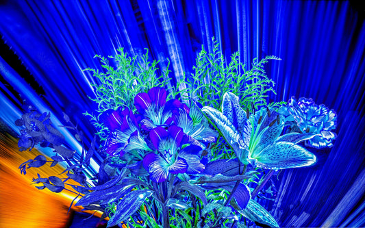 Main image Flowers blooming in the bright wind