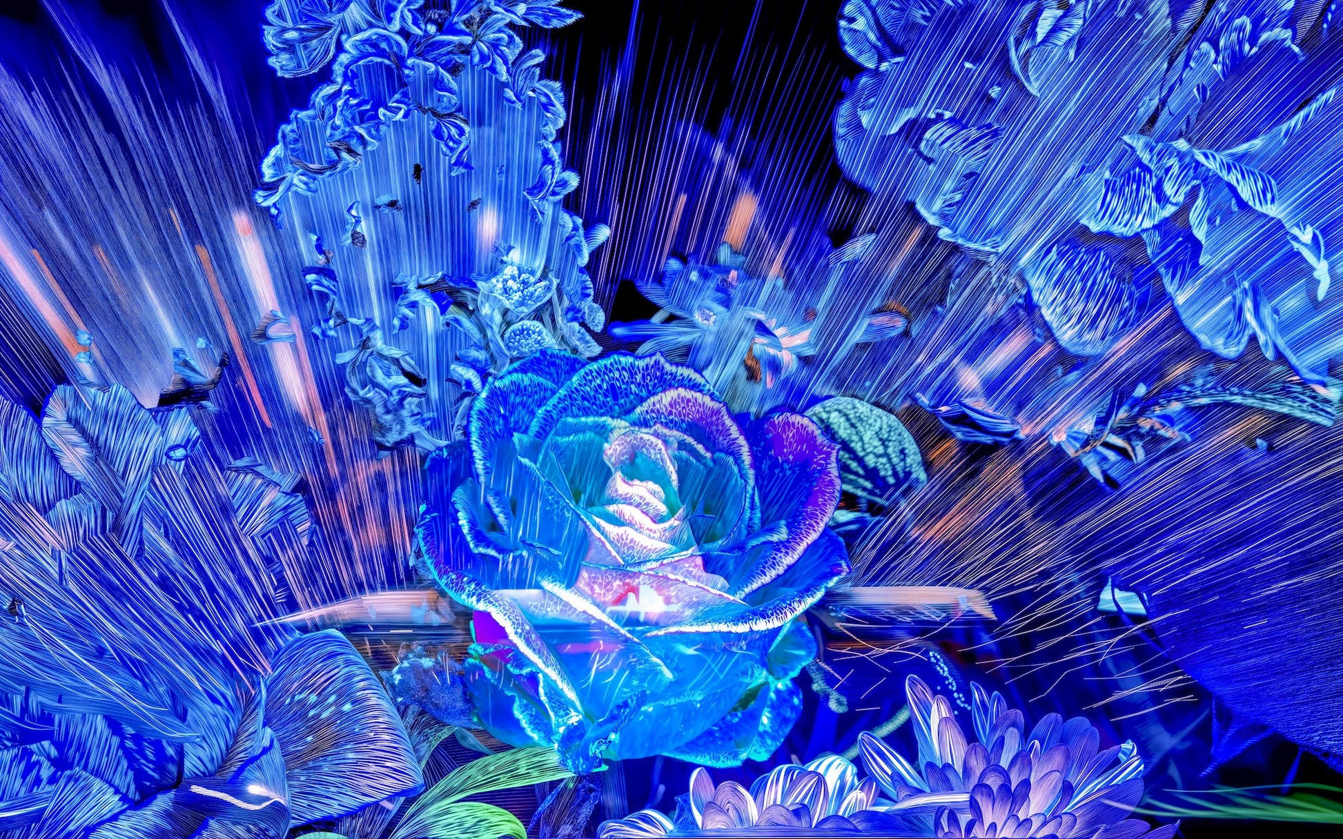 Main image Rose née d’un éclat céleste