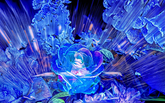 Main image Rose born from a celestial spark