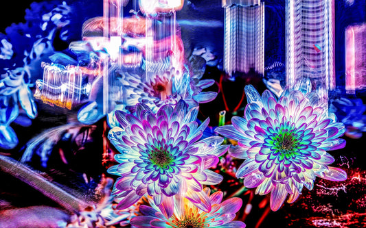 Main image Murmure floral suspendu entre deux éclairs