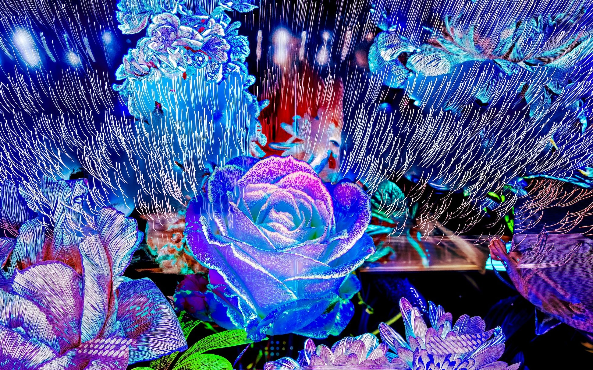 Main image When light remembers flowers