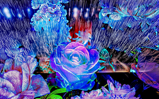 Main image When light remembers flowers