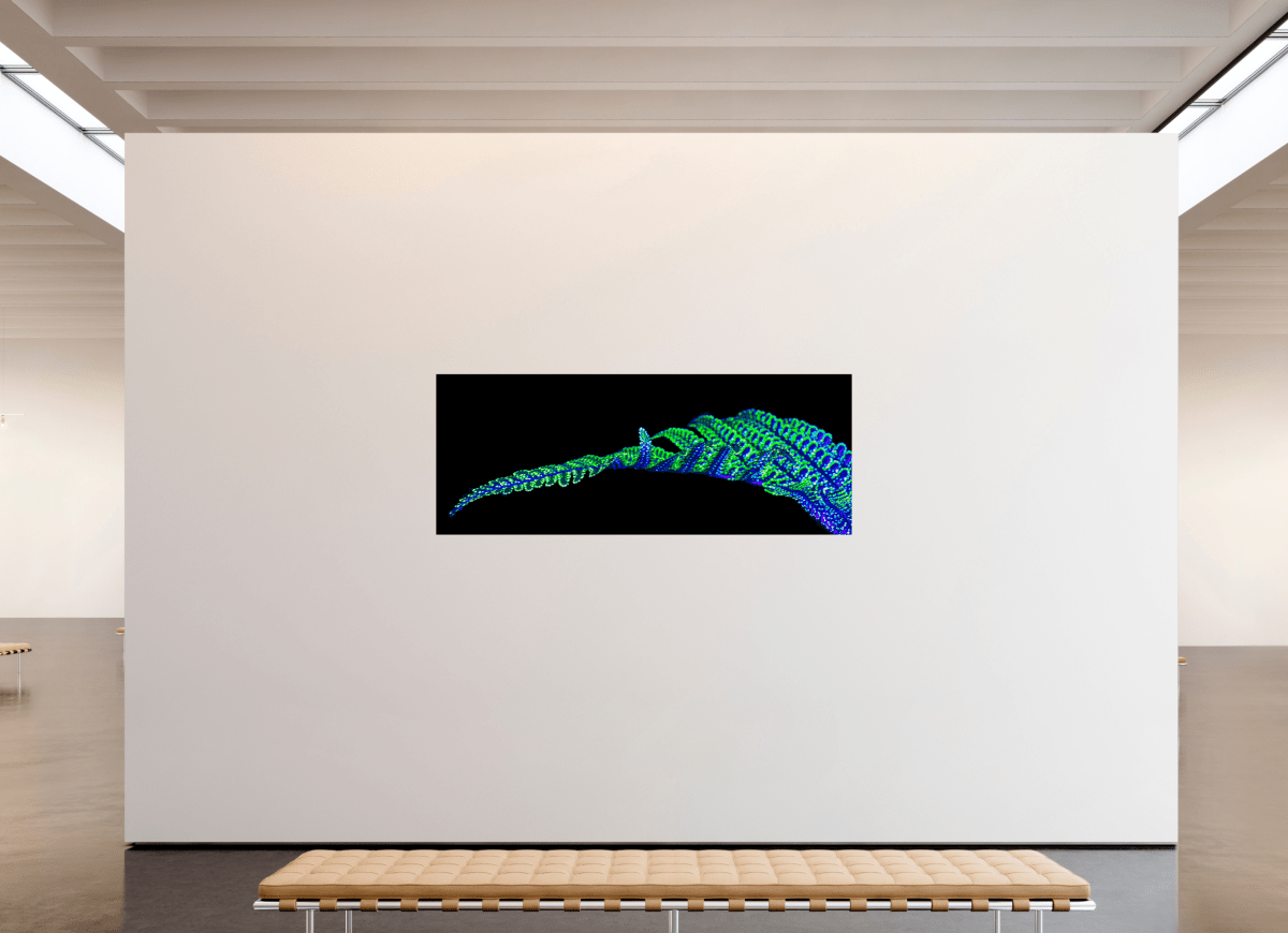 The Line of Origins - Idealart