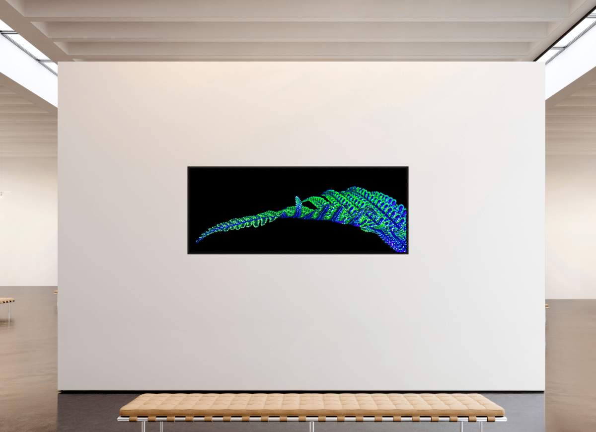 The Line of Origins - Idealart