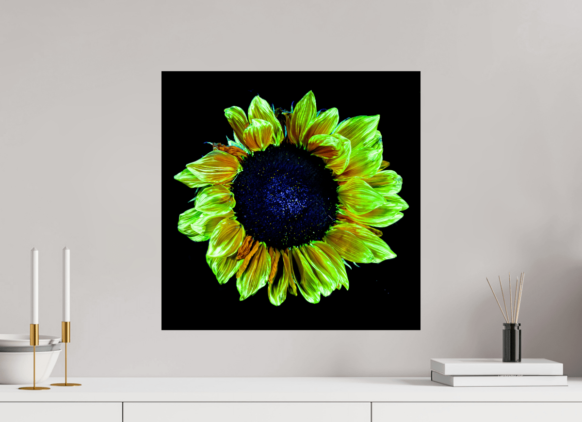 Crown of Light - Idealart