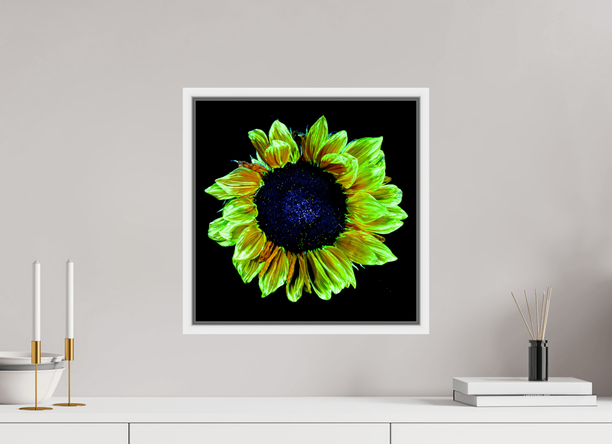 Crown of Light - Idealart