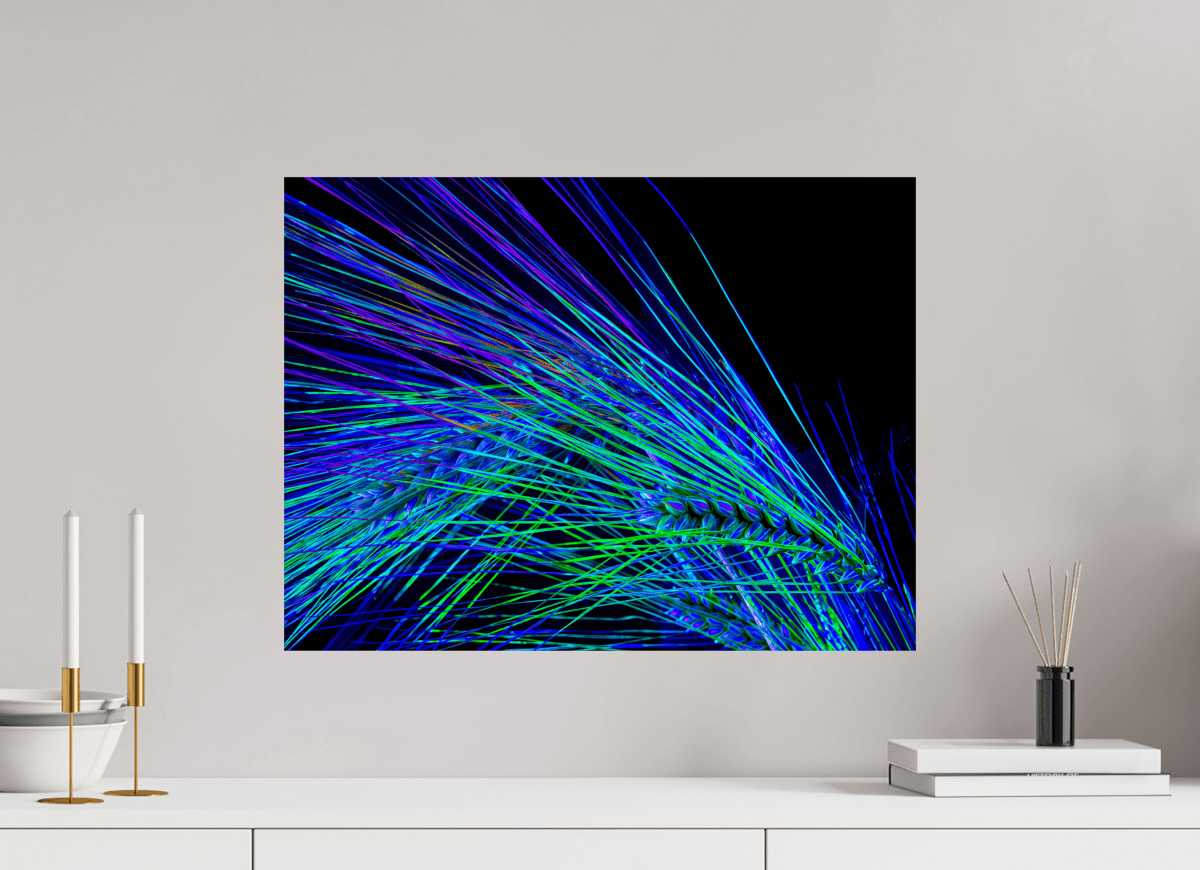 Dance of the Electric Ears - Idealart