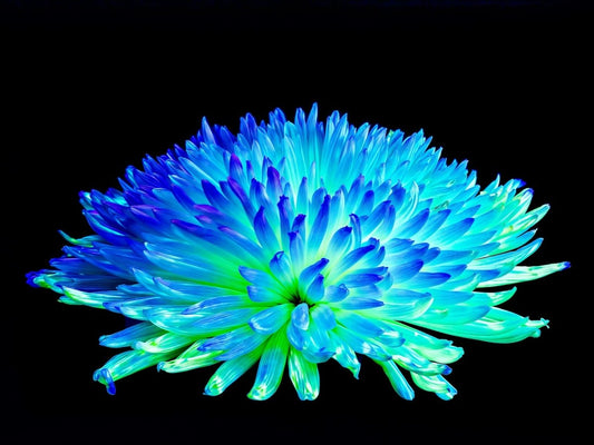 Éclat d’un Monde Inconnu - Idealart