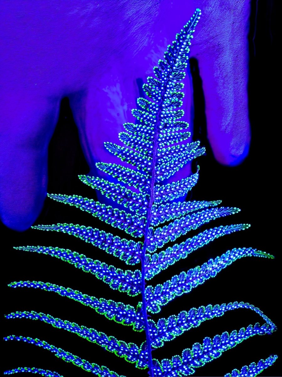 Le Code Secret du Feuillage - Idealart