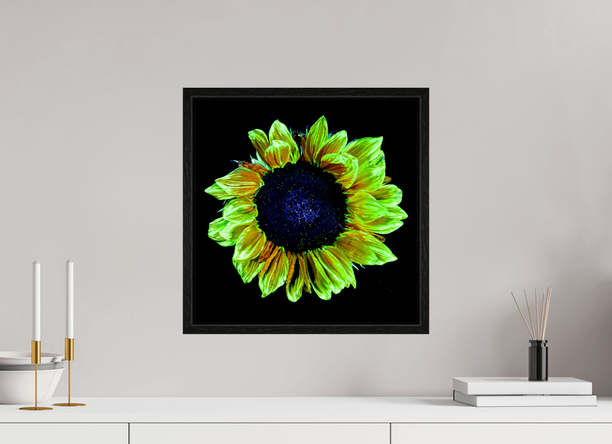 Crown of Light - Idealart