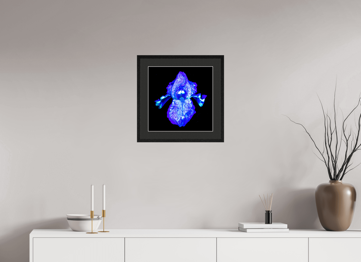 Iris of the Luminous Depths - Idealart