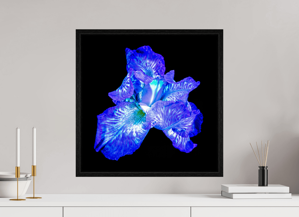 The Opal of Shadows - Idealart