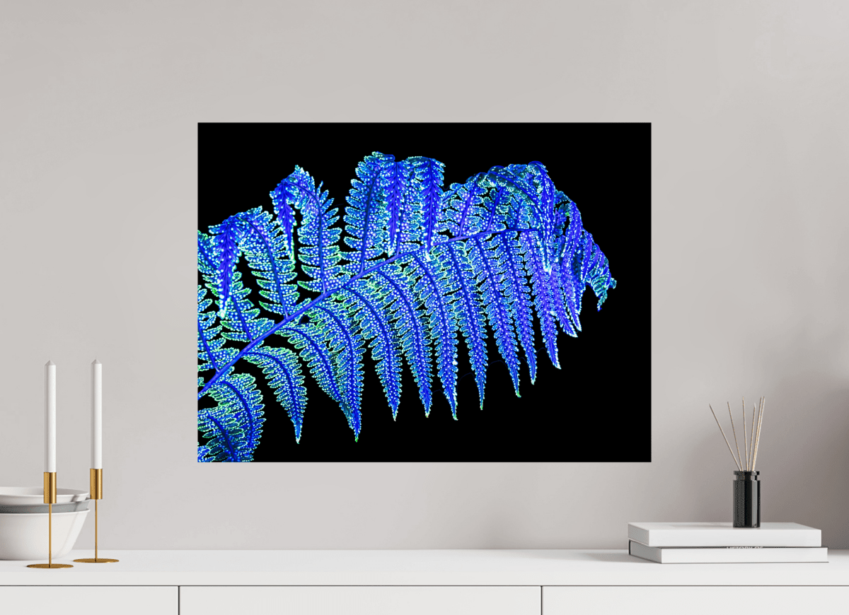 The Fern That Whispers in the Night - Idealart