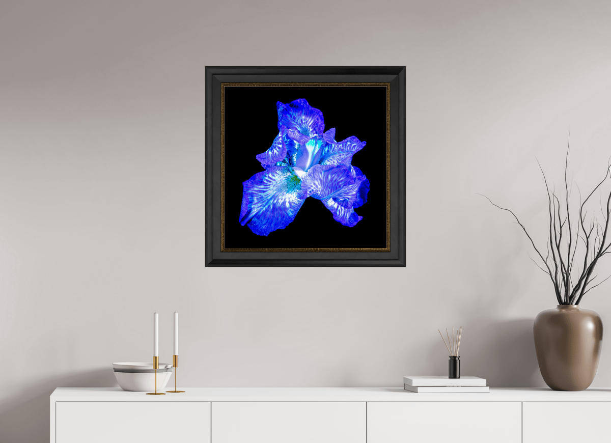 The Opal of Shadows - Idealart