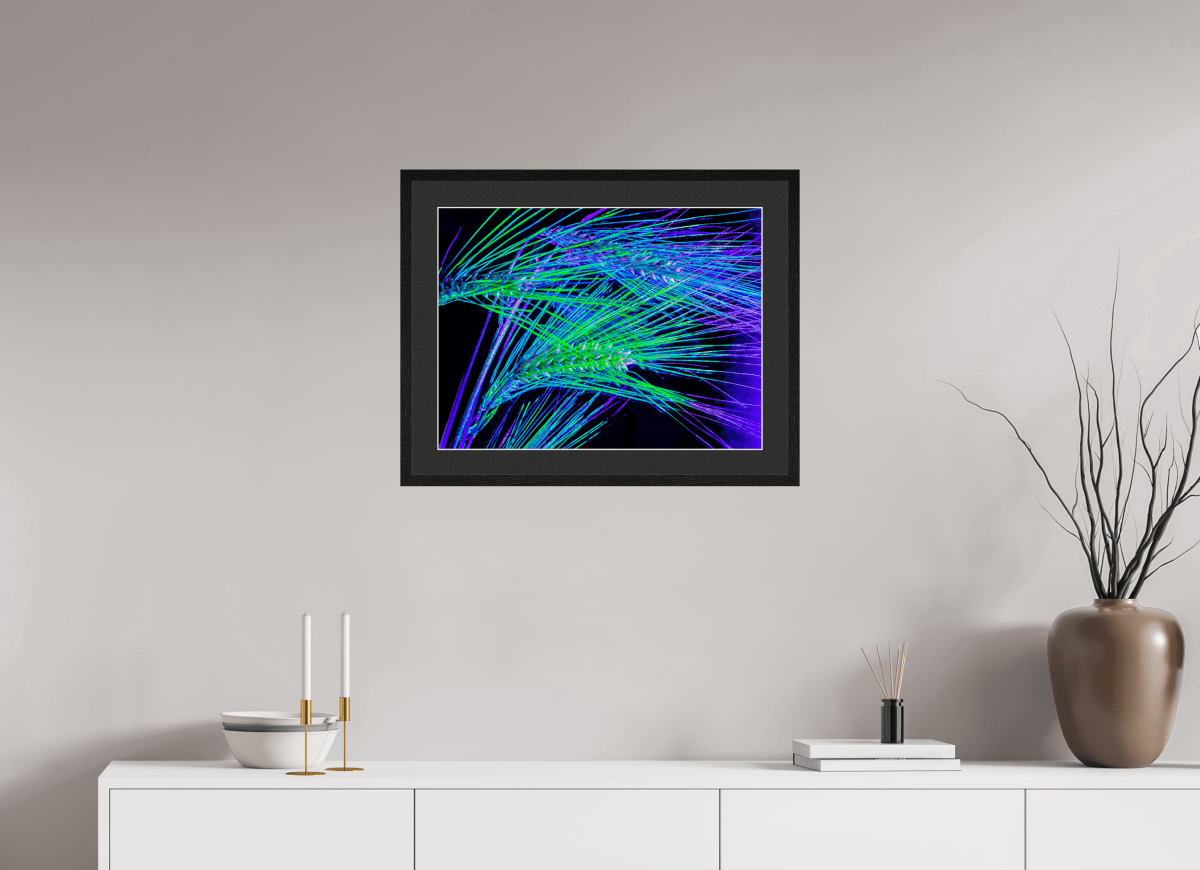 The Lines Where Light Runs - Idealart