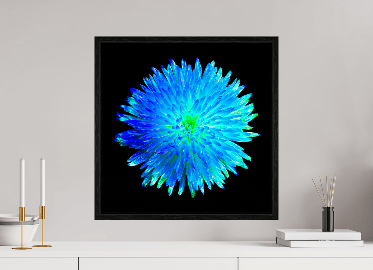 The Blue Star - Idealart