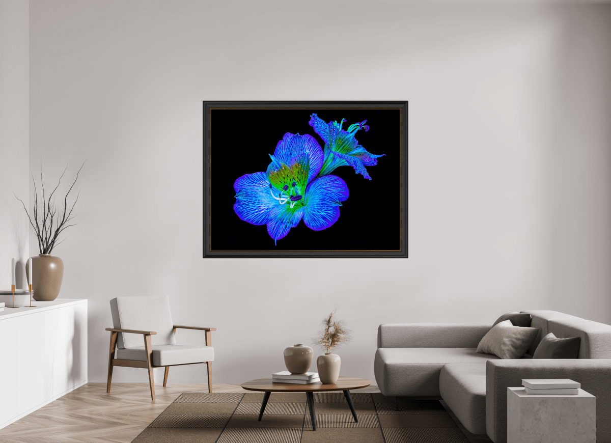 Alstroemeria des Lueurs Cachées - Idealart